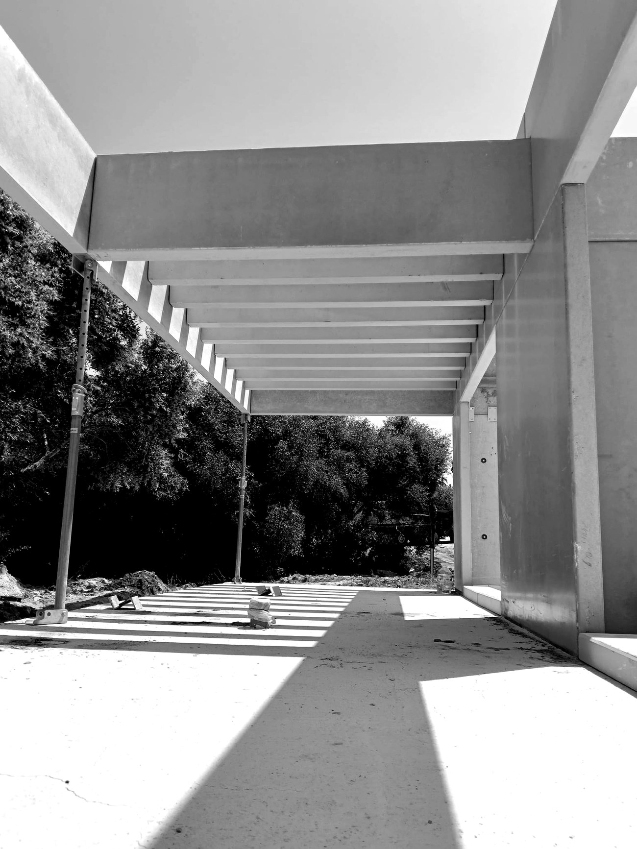 Estructura de hormigón vista — estudio BIM Soluciones